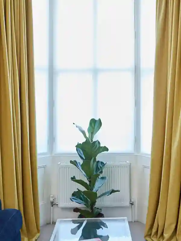 Home Curtains