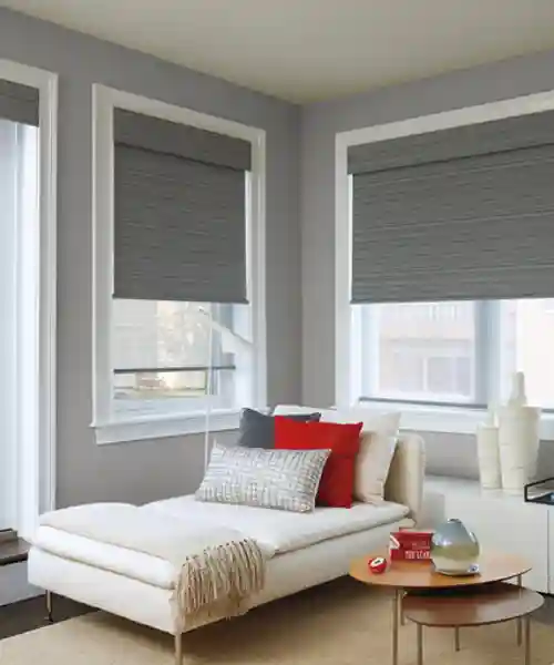 Smart Blinds