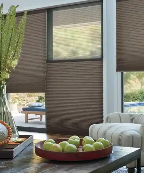 Smart Blinds