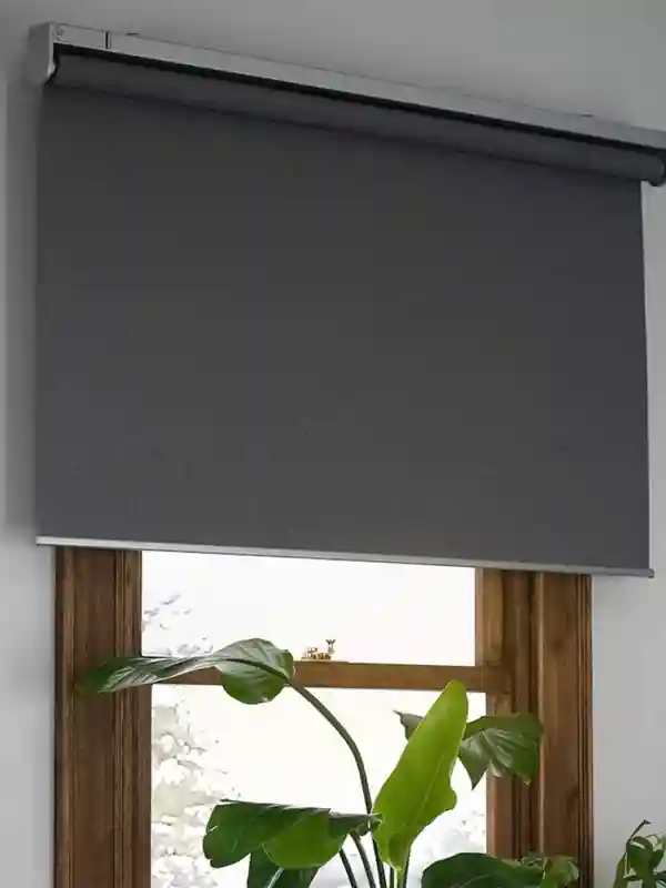 Smart Blinds