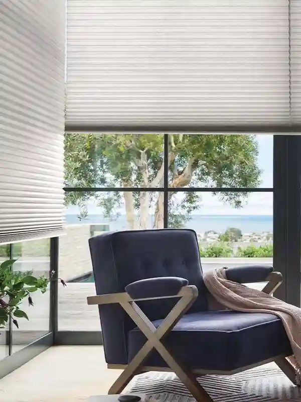 Smart Blinds