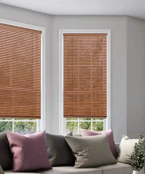 Venetian Blinds