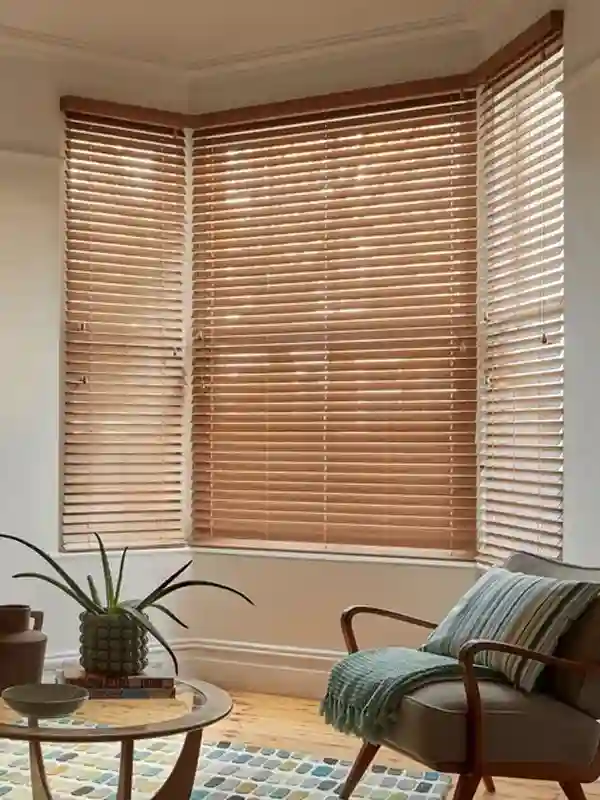Venetian Blinds