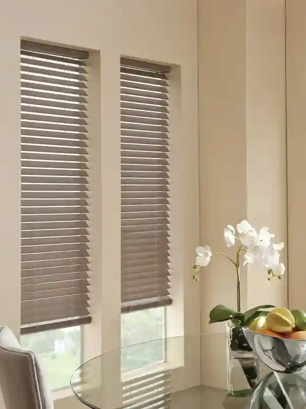 Venetian Blinds