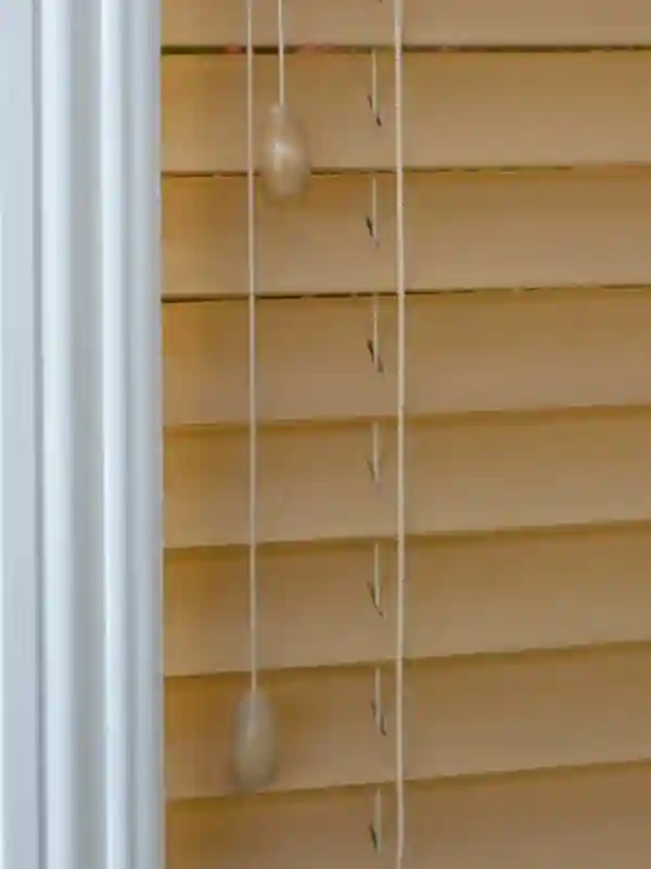 Blinds Fixing