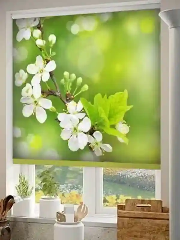 Customized Blinds