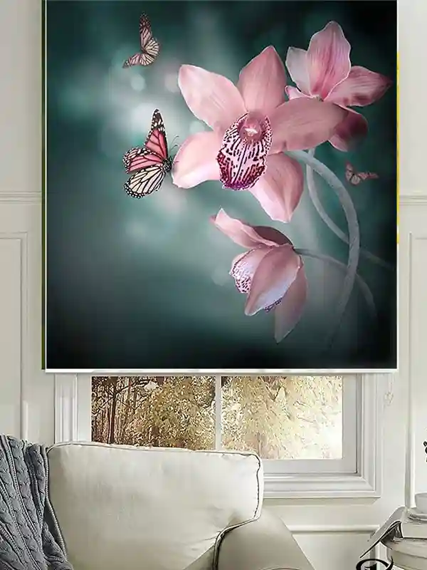 Customized Blinds