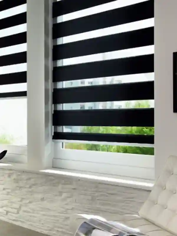 Duplex Blinds