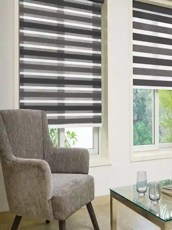 Duplex Blinds