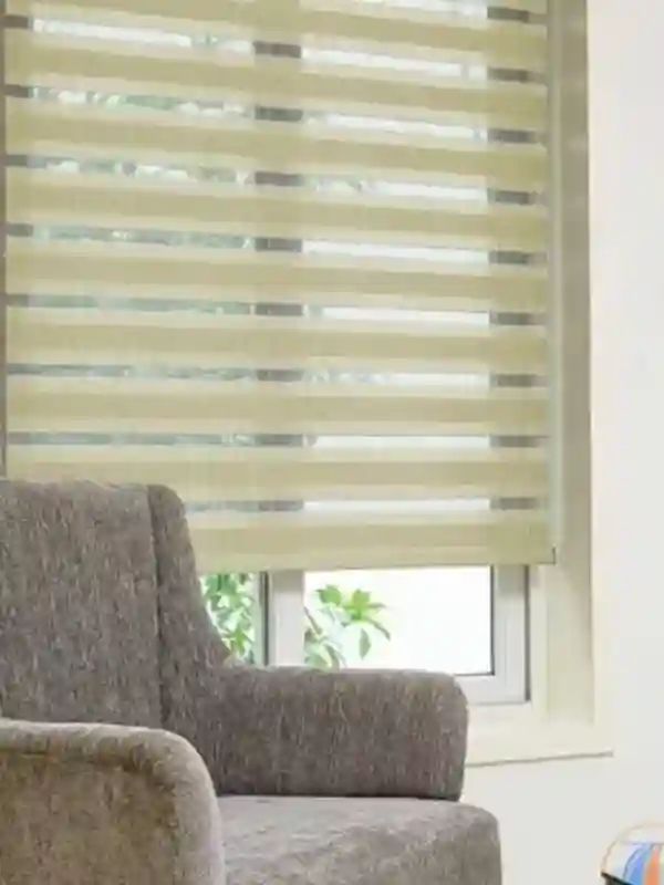 Duplex Blinds