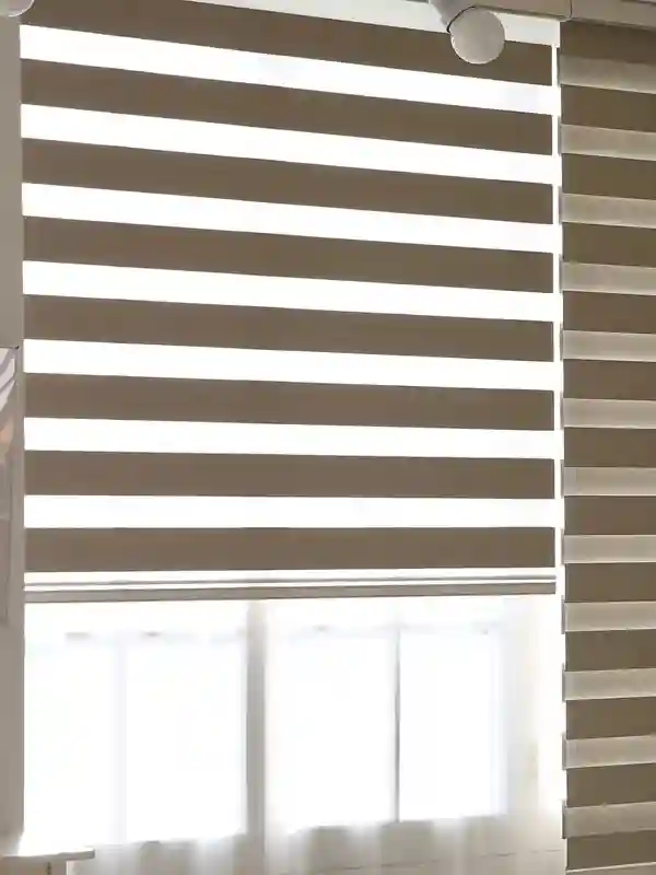 Duplex Blinds