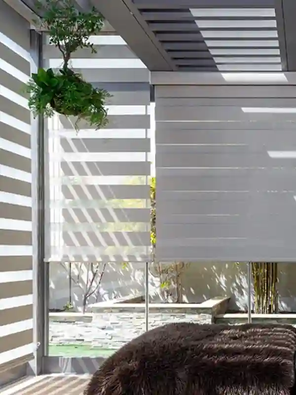 Duplex Blinds