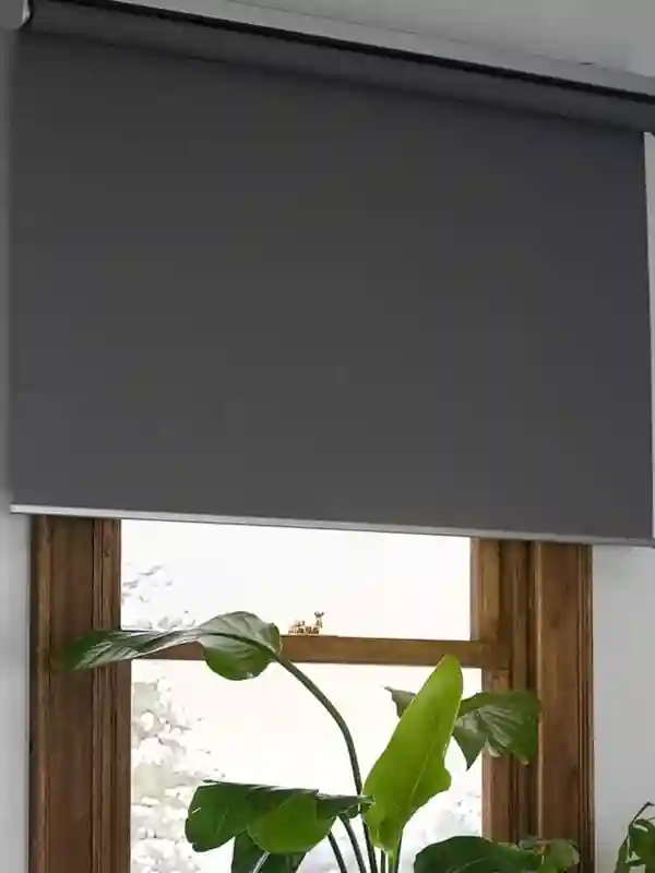 Motorized Blinds