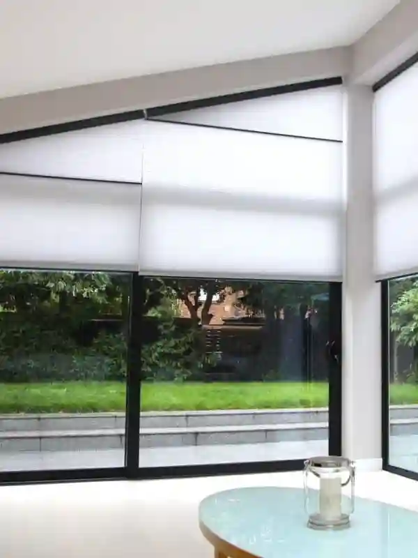 Motorized Blinds