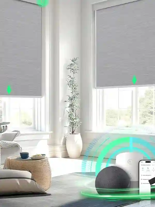 Motorized Blinds