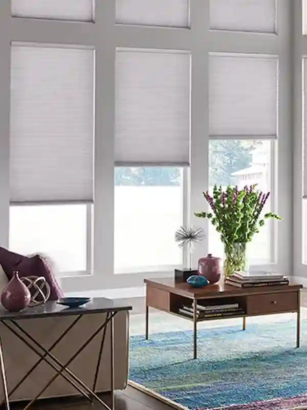 Office Blinds