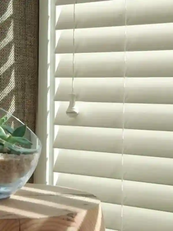 Blinds Fixing