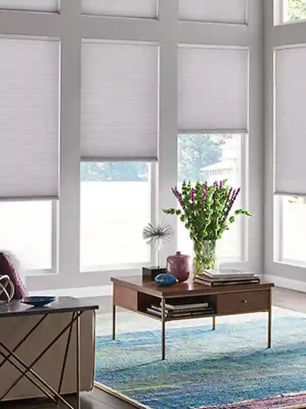 Office Curtains