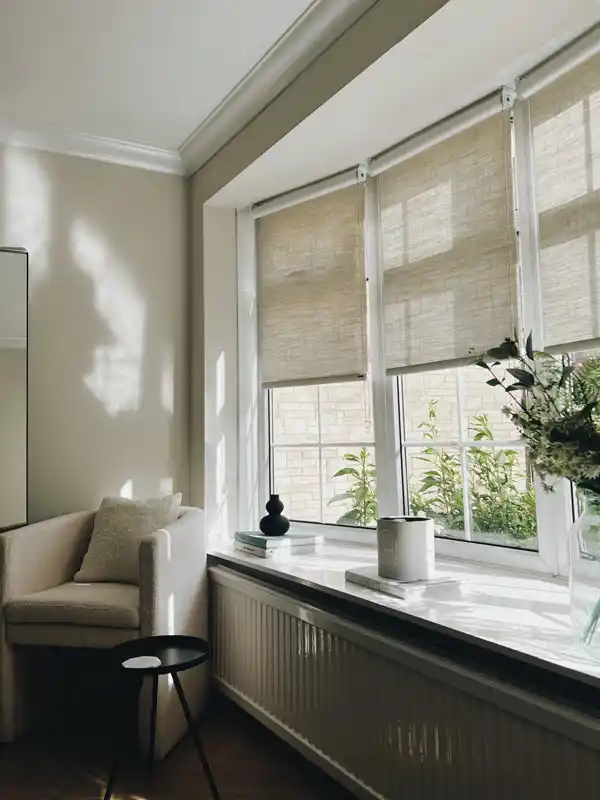 Window Shades