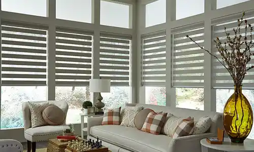 Window Shades