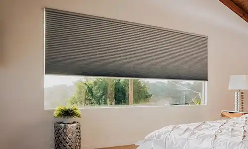 Window Shades