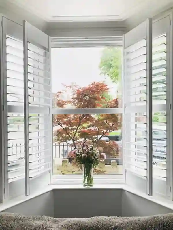 Shutters Blinds